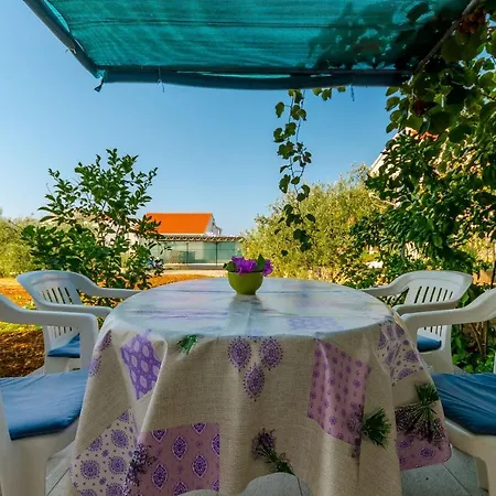 Maslina Apartment Trogir